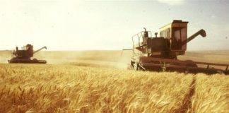 На Кіровоградщині працівники сільського господарства можуть очікувати на підвищення зарплат