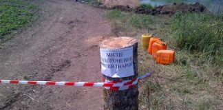 На Кіровоградщині планують відшкодовувати збитки селянам внаслідок АЧС