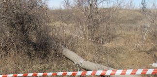 Знайденого біля дач олександрійця вбив знайомий, в якого той святкував іменини