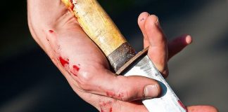 Олександрійця розшукують за вчинення ножових поранень товаришу