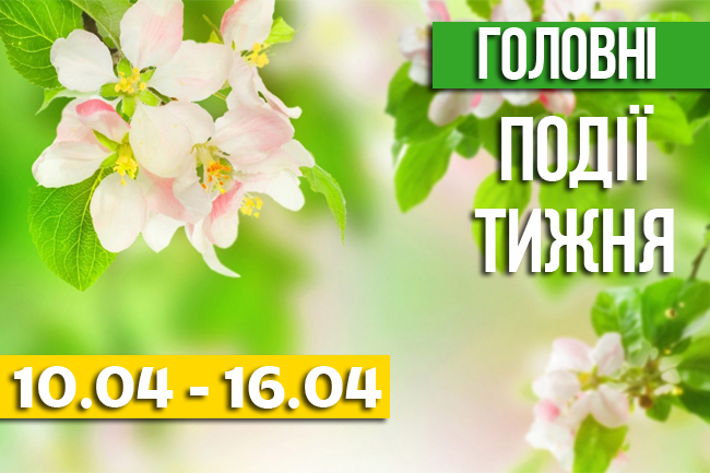 17973998_649261055267655_165462449_n