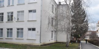 Одна з олександрійських шкіл стане «напівросійською»