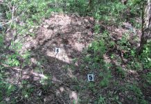 В поліції оприлюднили офіційну версію вбивства військовослужбовця з Олександрії