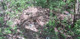 В поліції оприлюднили офіційну версію вбивства військовослужбовця з Олександрії