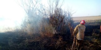 Першого травня в Березівці гасили пожежу сухої трави