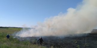 В Олександрійському районі за минулу добу двічі гасили пожежі