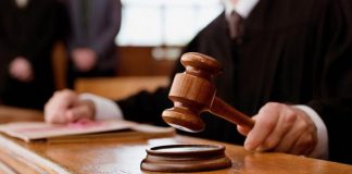 Олександрійська прокуратура відсудила півтисячі гектарів державної землі
