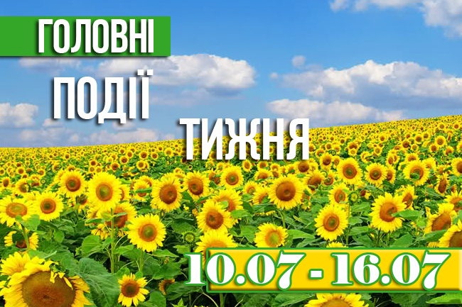 20136366_693287474198346_130502726_n