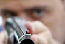 В Олександрії «полюють» на людей