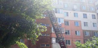 В Олександрії рятувальники прибирали аварійні дерева