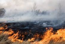 На Олександрійщині рятувальники двічі боролися з вогнем