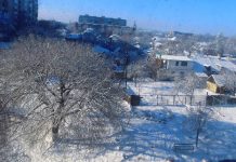 Малі і дорослі олександрійці радіють приходу справжньої зими – в продовження теми про зимові розваги
