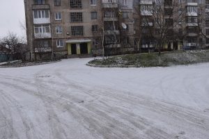 DSC_0650