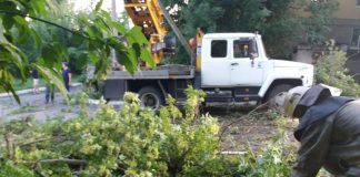 В Олександрії рятувальники прибирали аварійні гілки дерев
