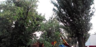 Пощастило, що вистава закінчилась: в одному з сіл Олександрійського району на цирк впало дерево