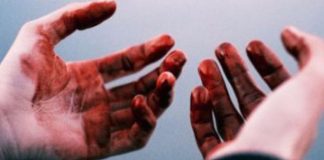В Олександрійському районі сталося вбивство