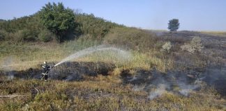 Упродовж минулих вихідних вогнеборці Олександрійщини ліквідували дві пожежі