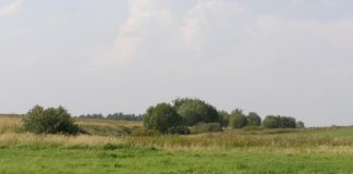 Три земельні ділянки в Олександрійському районі виставлено на торги