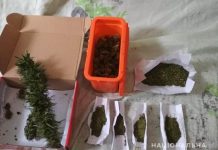 На Кіровоградщині під час обшуку помешкання громадян, працівники поліції вилучили 30 доз опію