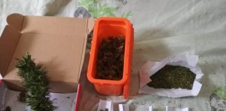 На Кіровоградщині під час обшуку помешкання громадян, працівники поліції вилучили 30 доз опію