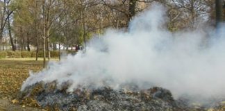 За спалювання листя олександрійцям доведеться сплачувати штрафи