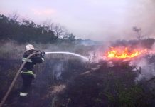 Минулої доби на Олександрійщині вогнеборці ліквідували дві пожежі