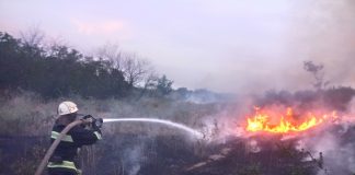 Минулої доби на Олександрійщині вогнеборці ліквідували дві пожежі