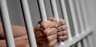 Мешканцям Олександрії, що здійснили подвійне вбивство, загрожує довічне позбавлення волі