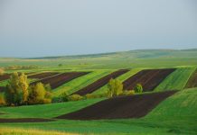 Олександрійщина серед лідерів за кількістю виданої землі для учасників АТО