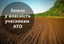 В Олександрійському районі учасники АТО отримали майже 800 земельних ділянок