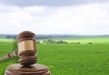 Майбутнім олександрійським аграріям додаткової землі не дісталося