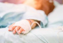 В Олександрії під час прогулянки маленька дитина наїлася отруйних грибів і потрапила до лікарні