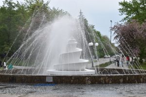 DSC_0228