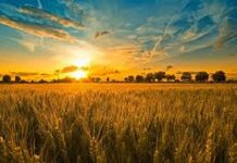 Дітей Олександрійщини запрошують до участі у всеукраїнському конкурсі «Що для мене Україна?»
