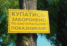 На одному з пляжів Олександрійського району у воді виявили кишкову паличку
