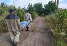 На Олександрійщині рятувальники допомогли пенсіонерці, яка впала в яму