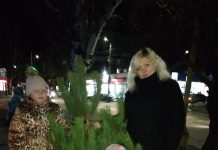 В Олександрії почалася торгівля ялинками: перших покупців “зловили на гарячому”