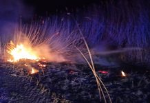 В Олександрії ліквідували займання очерету