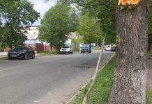 ДТП в Олександрії: на пішохідному переході легковика зупинила перепона