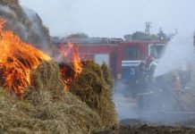У селі на Олександрійщині загасили займання дровника та сіна