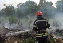 Вогнеборці Олександрійщини загасили 2 пожежі сміття на відкритих територіях
