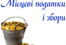 Які місцеві податки сплачуватимуть олександрійці наступного року?
