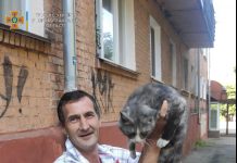 У центрі Олександрії “розгорнули операцію” по врятуванню кота