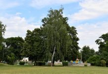 У Приютівській громаді реалізують соціальний проєкт «Активні парки – локації здорової України»