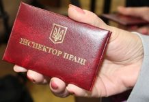Майже сотню неоформлених найманих працівників було виявлено під час перевірки в Олександрії