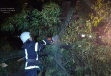 Рятувальники ліквідовували наслідки негоди на Кіровоградщині та в Олександрії