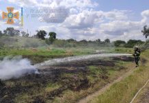 Рятувальна служба у вихідні гасила різні займання