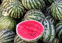 Нові «легалізовані» місця продажу кавунів в Олександрії