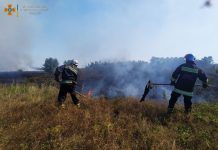 Вогнеборці ліквідували пожежу сухої рослинності в Олександрії